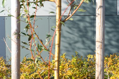 Detail from the façade