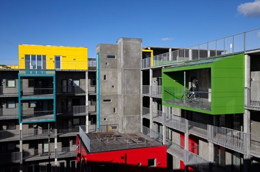 Colourful and rough living environment