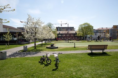 Sculpture park